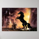 Suche nach stallion poster Horse