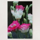Suche nach knospen puzzle Rosa