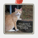 Suche nach orange metall ornamente Jede person