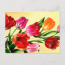 Suche nach gelbe tulpen postkarten Jede person