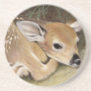 Suche nach weißer schwanz untersetzer Hirsche