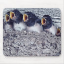 Suche nach freier tag mousepads Farbbild