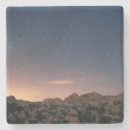 Suche nach mojave untersetzer Cactus