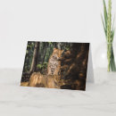 Suche nach jaguar karten Natur