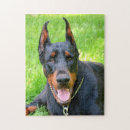 Suche nach pinscher puzzle Tiere