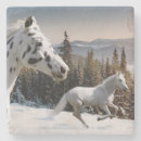 Suche nach wilde pferde untersetzer Wild lebende tiere