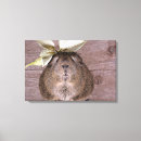 Suche nach schwein leinwandbilder Niedlich