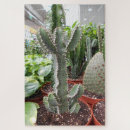Suche nach kaktus puzzle Fotografie