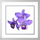 Suche nach lila orchideen poster Elegant