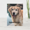 Suche nach lustige golden retriever karten Jede person