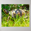 Suche nach kästen poster Digital