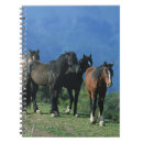 Suche nach mustang kleine notizbücher Gruppe