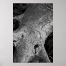 Suche nach root poster Baum