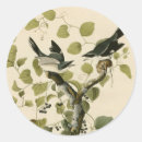 Suche nach audubon aufkleber Vogelaufkleber