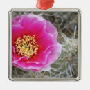 Suche nach frühlings blumen ornamente Rosa
