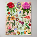 Suche nach blumenillustrationen poster Für alle