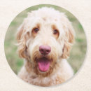 Suche nach lächelnder hund untersetzer Tier