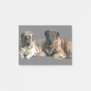 Suche nach freund post it Freunde