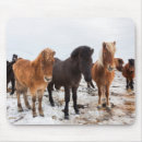 Suche nach isländisches pferd mousepads Herde