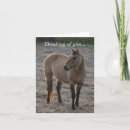 Suche nach für verlust des pferds beileidskarten Bauernhof