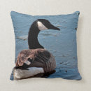 Suche nach gans kissen Kanadisch