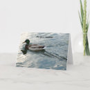 Suche nach ente gut alles gut karten Jede person