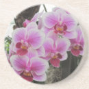 Suche nach phalaenopsis untersetzer Orchidee