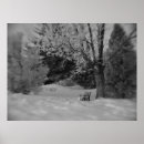 Suche nach parkbank poster Baum