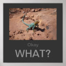 Suche nach lizards poster Für ihn