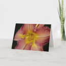 Suche nach orange lilie karten Blume