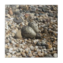 Suche nach kies fliesen Natur