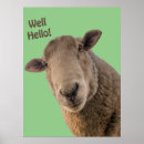 Suche nach lustige schafe poster Lustiges schaf