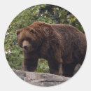 Suche nach grizzly aufkleber Tiere