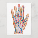 Suche nach menschliche hand postkarten Illustration