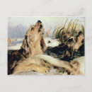 Suche nach das landseer Hund