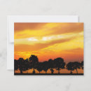 Suche nach sonnenuntergang silhouette postkarten Himmel