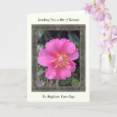 Suche nach kamelie karten Rosa