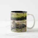 Suche nach löwin tassen Kenia