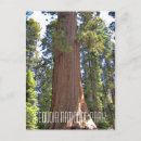 Suche nach sequoia postkarten Natur