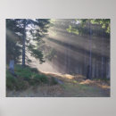 Suche nach lichtstrahlen Herbst