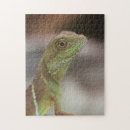 Suche nach leguan puzzle Haustier