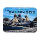 Suche nach galapagos magnete Für alle