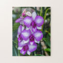 Suche nach weiße orchideen puzzle Lila
