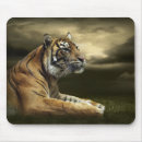 Suche nach alles fressend mousepads Katze