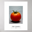 Suche nach tomaten poster Früchte
