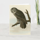 Suche nach schalen karten Vogelvogel