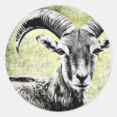 Suche nach steinbock aufkleber Ziege