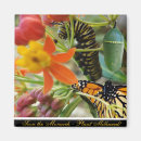 Suche nach monarch magnete Schmetterling