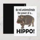 Suche nach hippopotamuses postkarten Darstellung