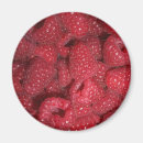 Suche nach himbeeren magnete Gesund